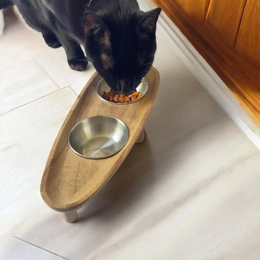 Raised Cat Bowls antibacterial non-spill