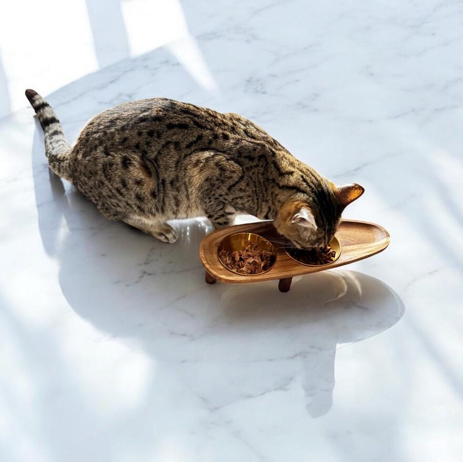 Raised cat bowl walnut legs silver stainless steel acacia wood non-spill 30cm - THEKEA

