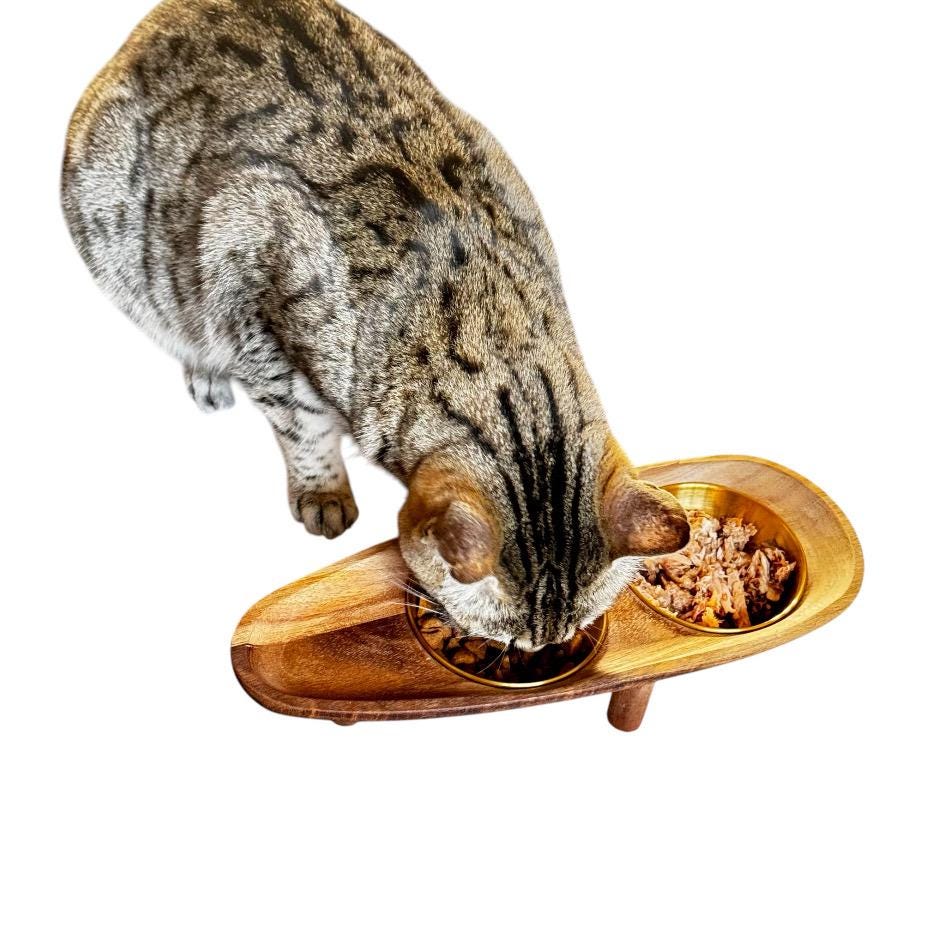 Antibacterial cat food bowl acacia wood walnut legs gold stainless steel non-spill - THEKEA
