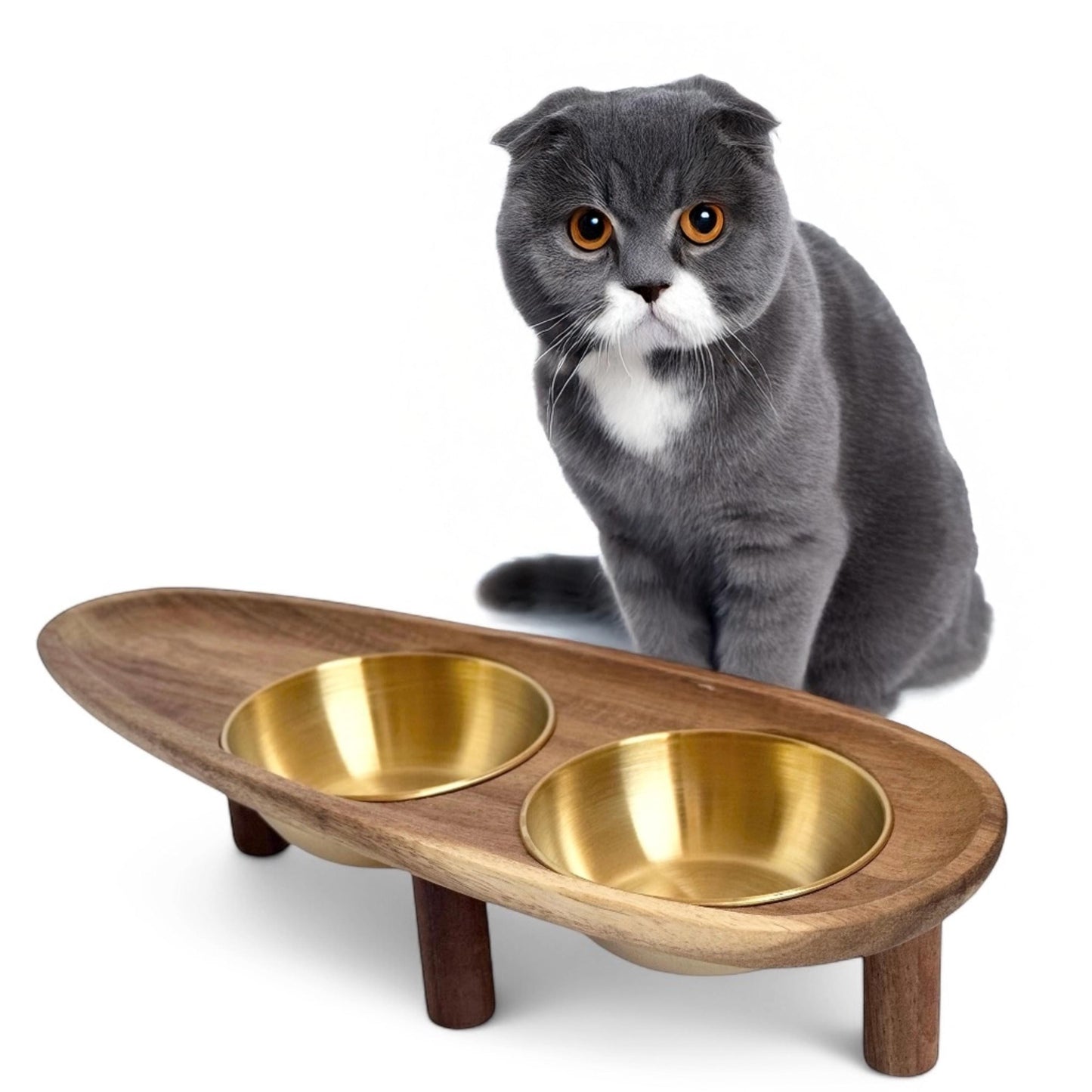 Antibacterial cat food bowl acacia wood walnut legs gold stainless steel non-spill - THEKEA
